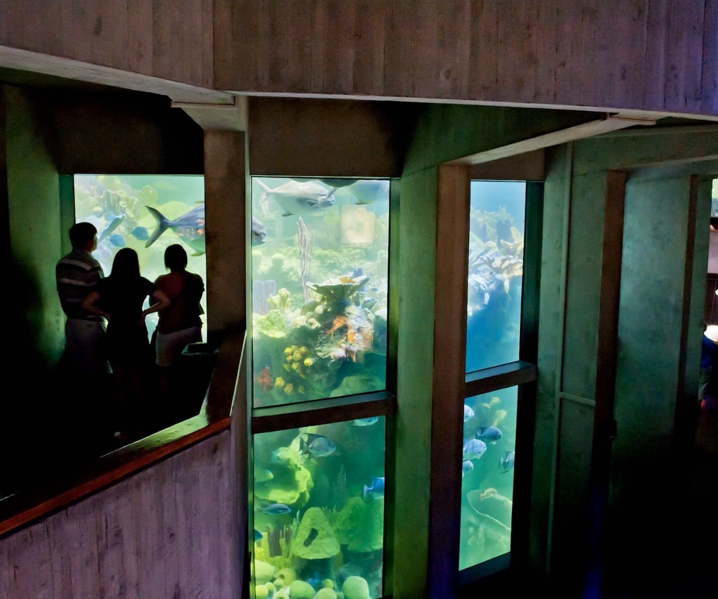 Tickets for New England Aquarium General Admission